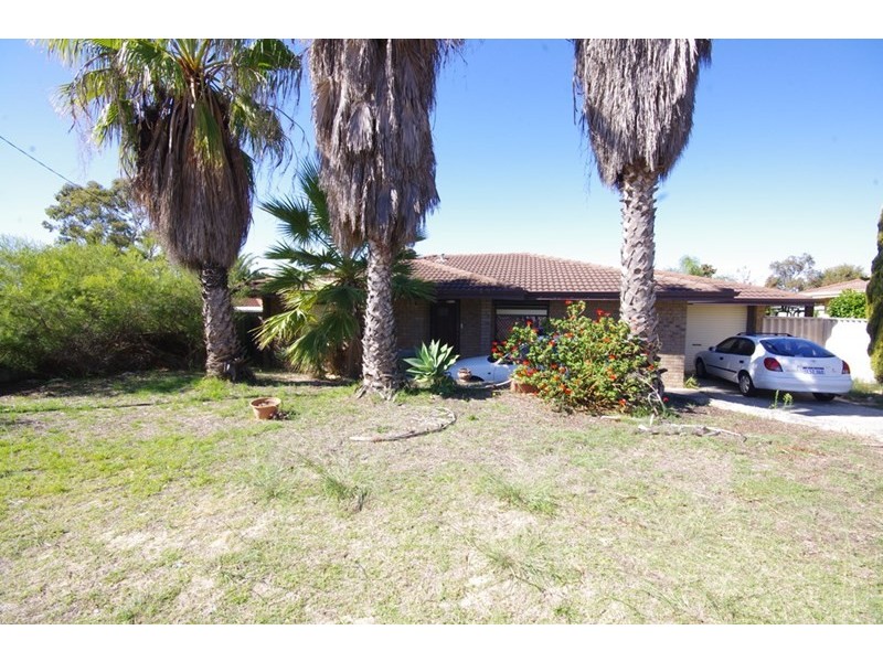 66 Dryandra Drive, Mirrabooka WA 6061