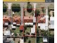 172 Balga Avenue, Balga WA 6061