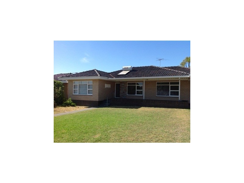 24 Frape Avenue, Yokine WA 6060