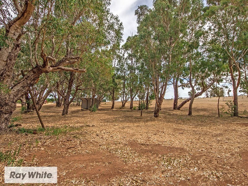 16 Litchfield Promenade, Jane Brook WA 6056