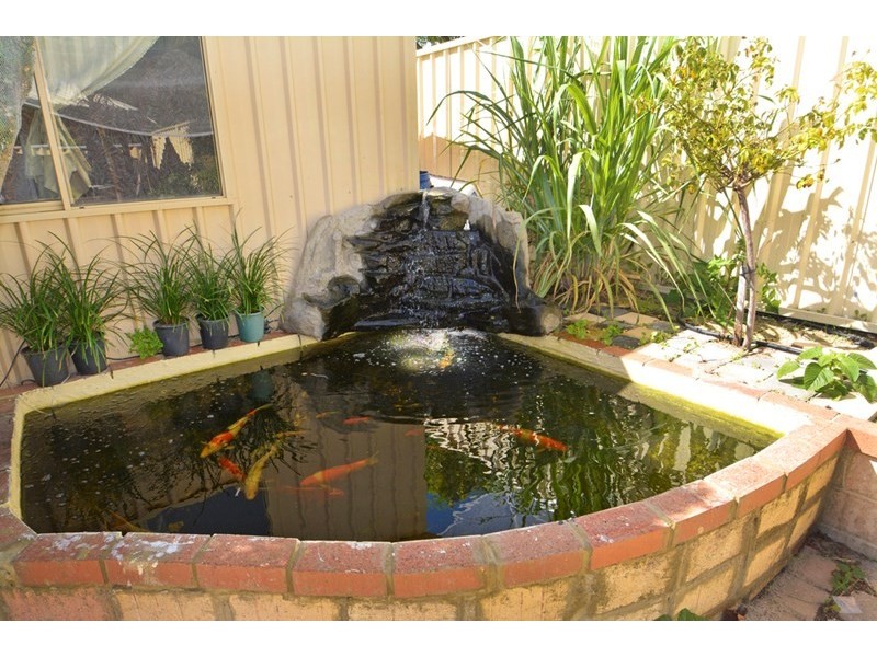 2 Frangipani Loop, Marangaroo WA 6064