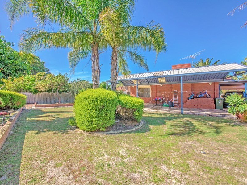 317 Alexander Drive, Dianella WA 6059