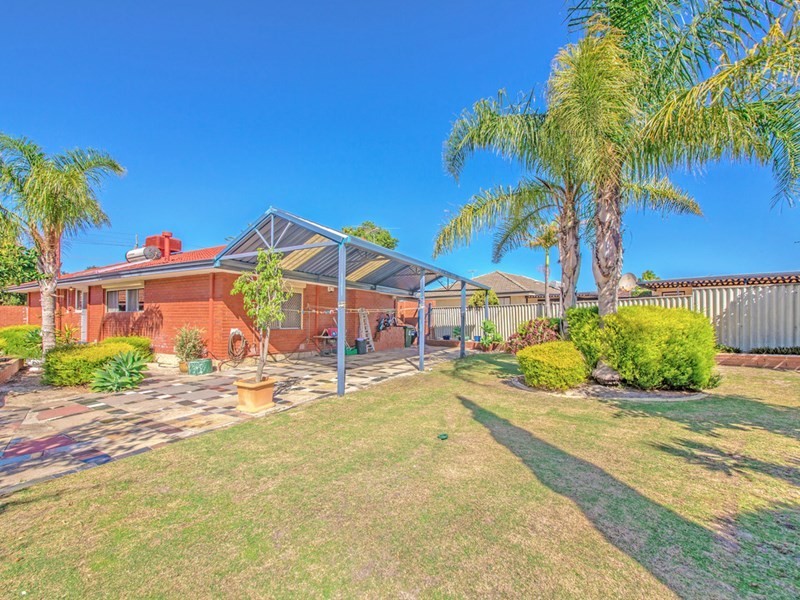 317 Alexander Drive, Dianella WA 6059