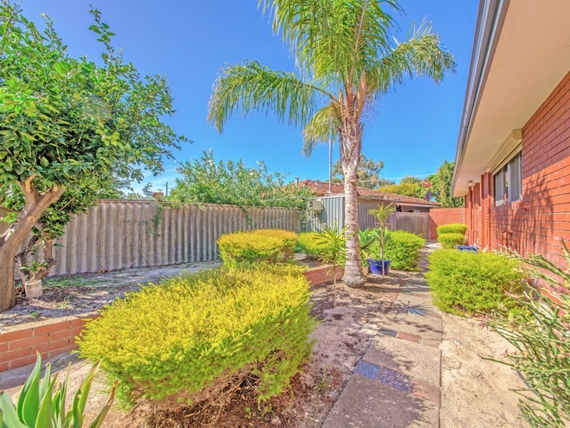 317 Alexander Drive, Dianella WA 6059