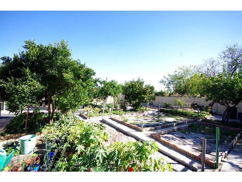 2 Dryandra Drive, Mirrabooka WA 6061