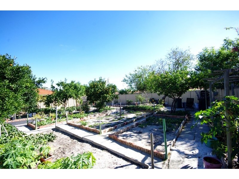 2 Dryandra Drive, Mirrabooka WA 6061