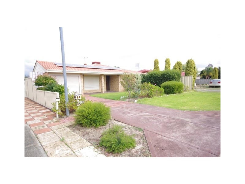 19 Farnesian Circle, Mirrabooka WA 6061