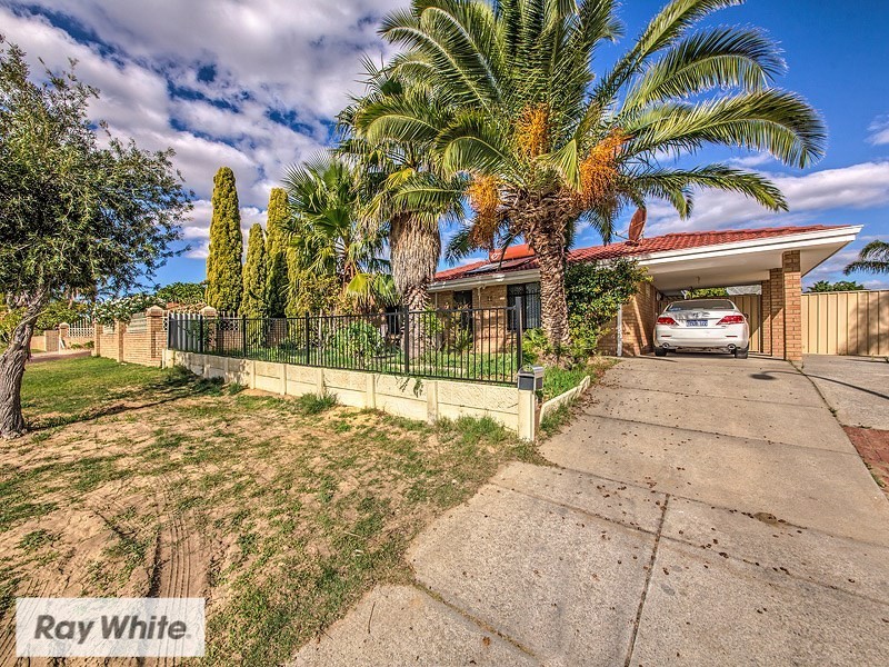 16 Apple Blossom Drive, Mirrabooka WA 6061