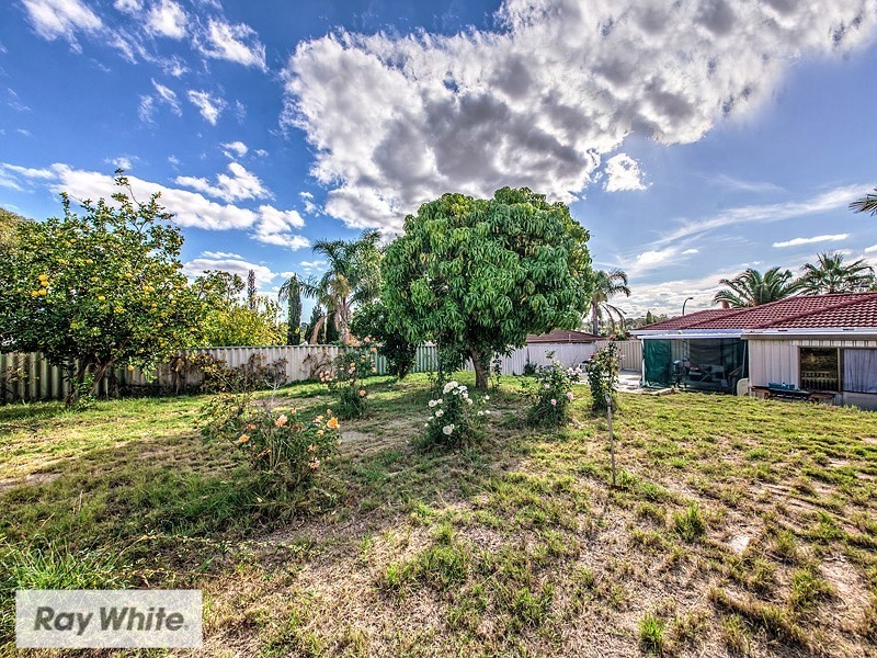 16 Apple Blossom Drive, Mirrabooka WA 6061