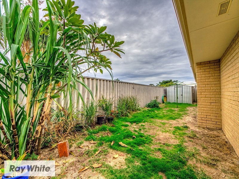 47 Highview Street, Alexander Heights WA 6064