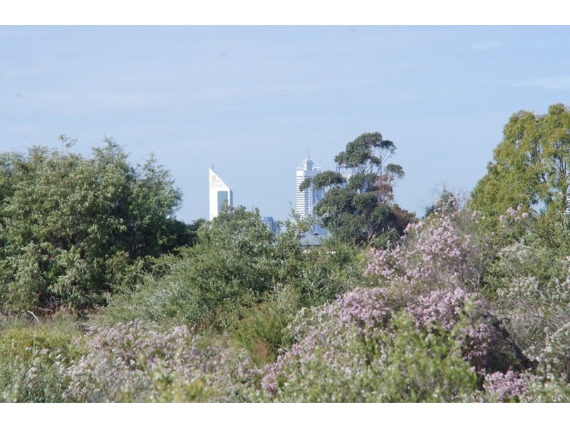 7D Oakney Avenue, Nollamara WA 6061