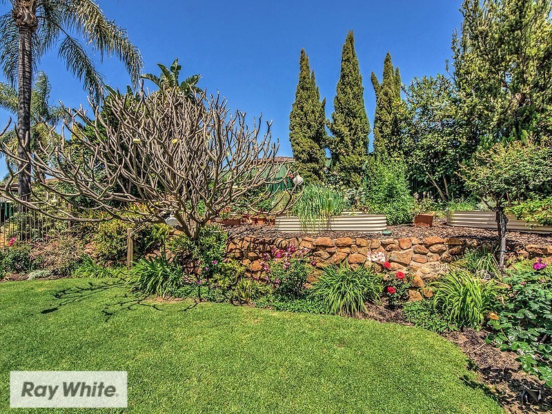 6 Regent Drive, Alexander Heights WA 6064