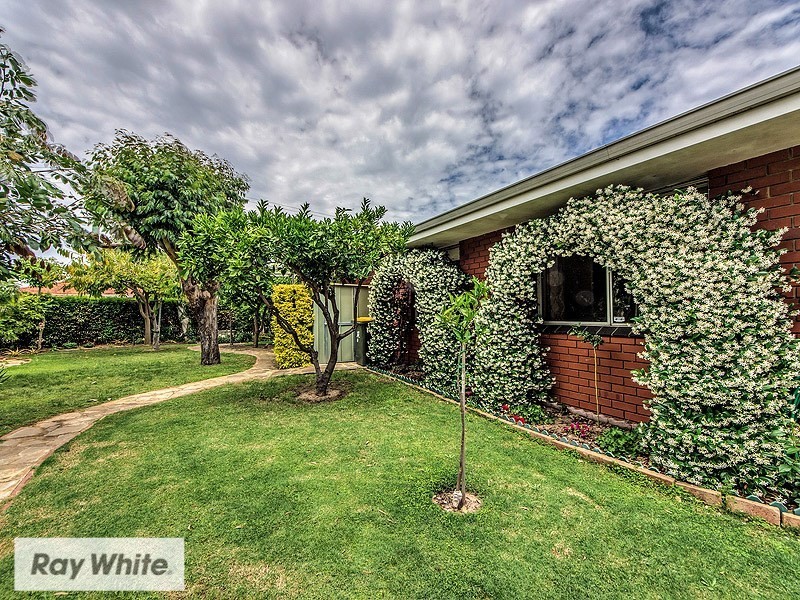 63 Renmark Street, Balcatta WA 6021