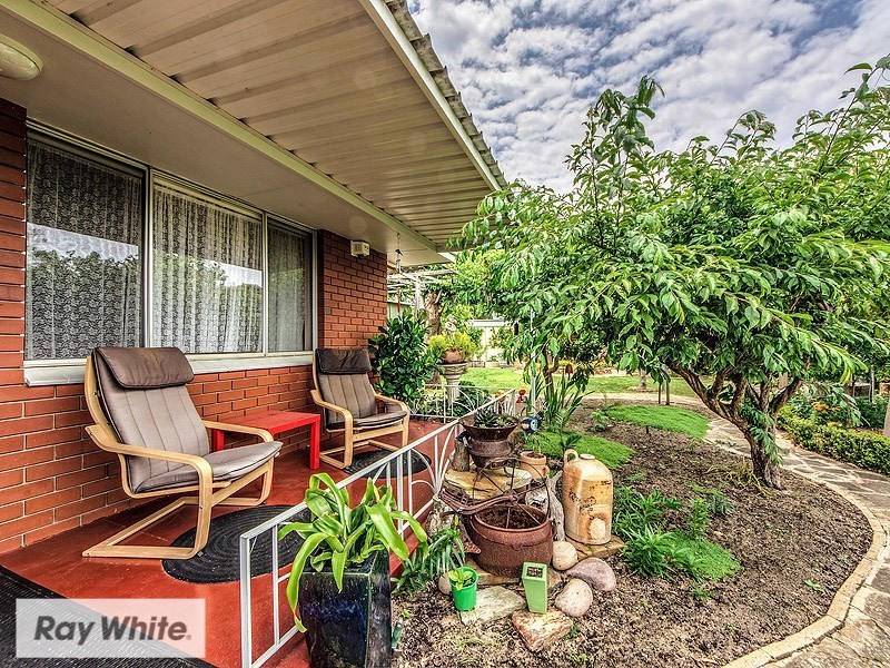 63 Renmark Street, Balcatta WA 6021