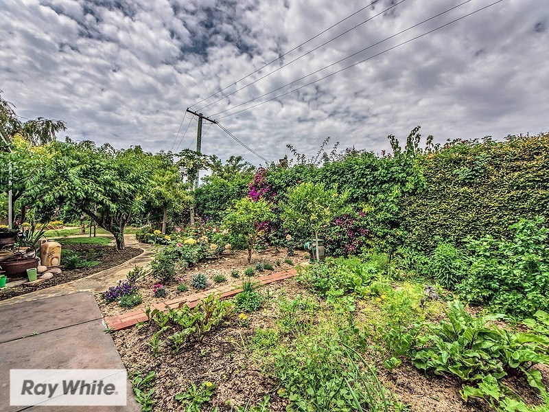 63 Renmark Street, Balcatta WA 6021