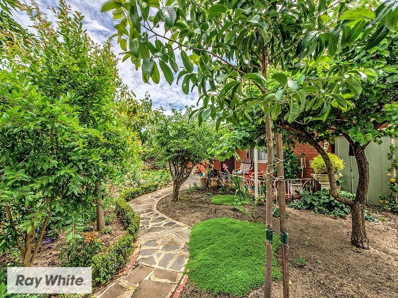 63 Renmark Street, Balcatta WA 6021