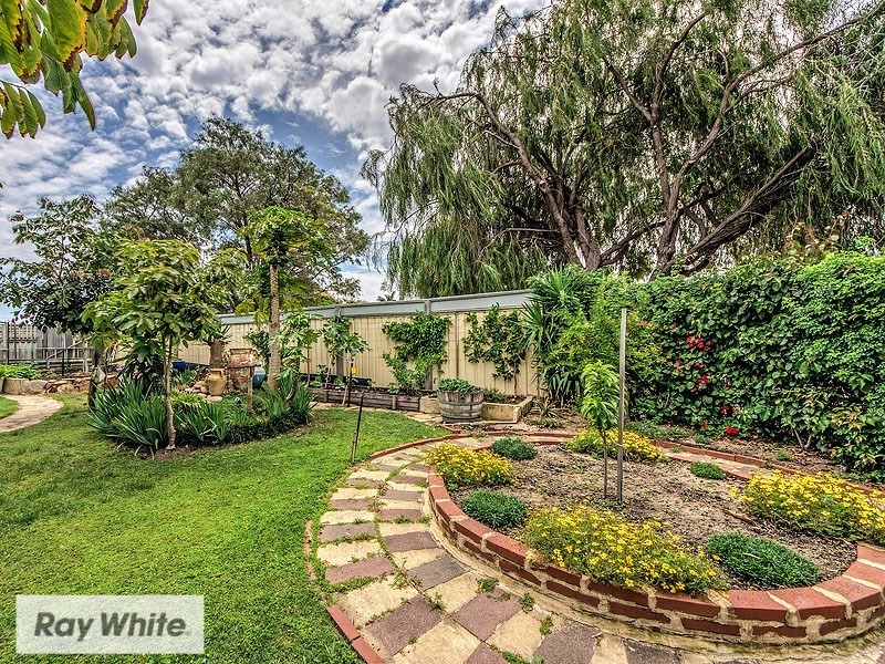 63 Renmark Street, Balcatta WA 6021