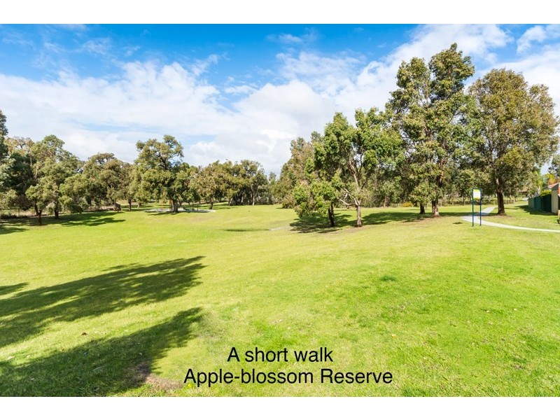 20 Selloa Place, Mirrabooka WA 6061