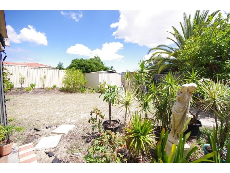 3 The Avenue, Alexander Heights WA 6064