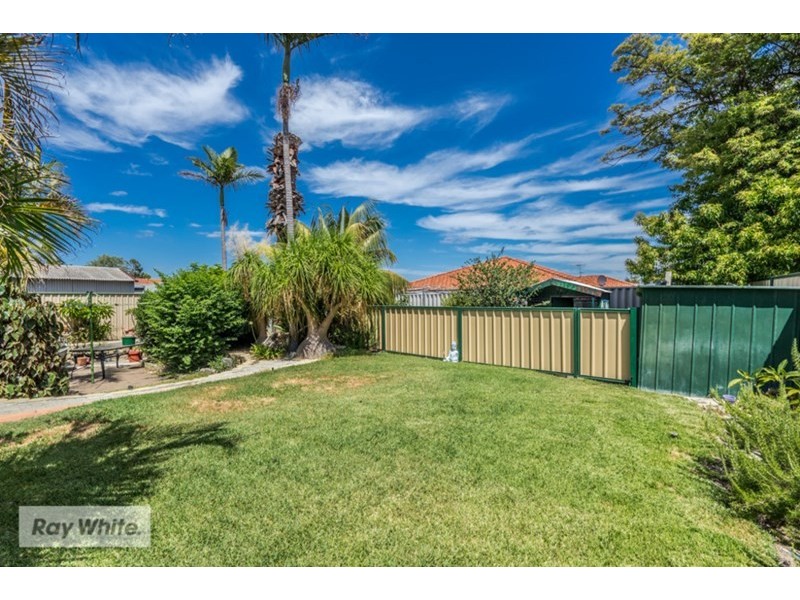 221 Mirrabooka Avenue, Balga WA 6061