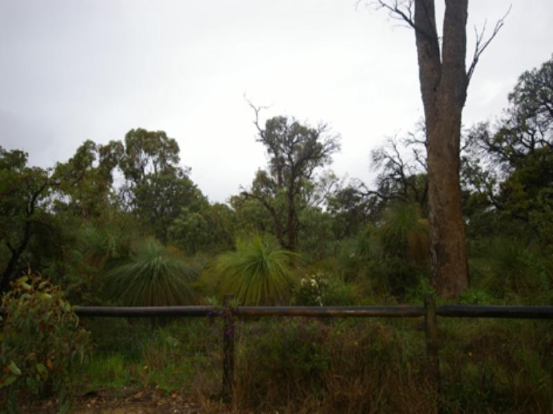 17 Maitland Road, Balga WA 6061