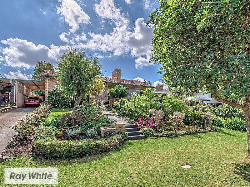 11 Donnington Road, Balcatta WA 6021