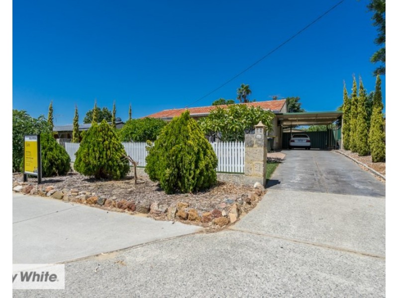 19 Calvert Way, Girrawheen WA 6064