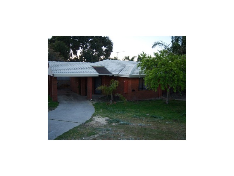 55 Wintersweet Ramble, Mirrabooka WA 6061