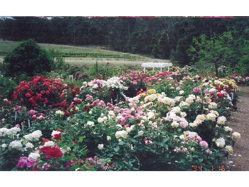 51 Needes Road, Donnybrook WA 6239