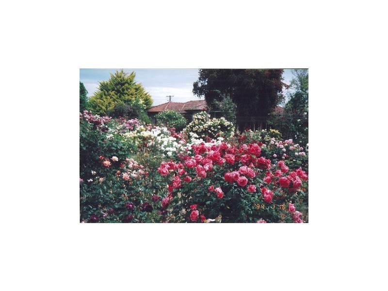 51 Needes Road, Donnybrook WA 6239