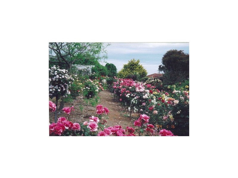 51 Needes Road, Donnybrook WA 6239