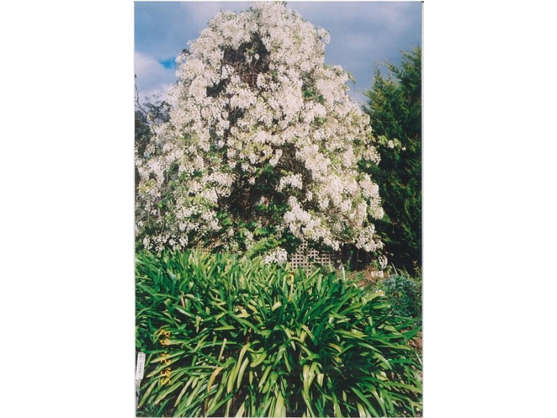 51 Needes Road, Donnybrook WA 6239