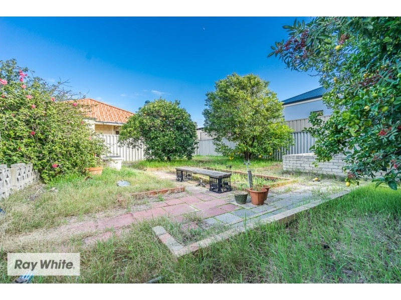 31 Bradley Street, Yokine WA 6060