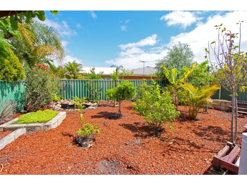 11 Irrawaddy Place, Beechboro WA 6063