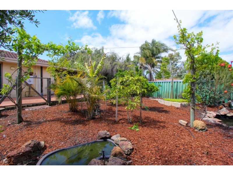 11 Irrawaddy Place, Beechboro WA 6063