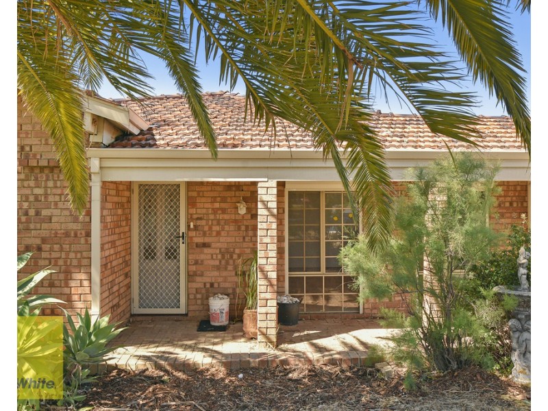 34 Rosebury Avenue, Alexander Heights WA 6064