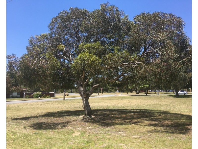 437 The Strand, Dianella WA 6059