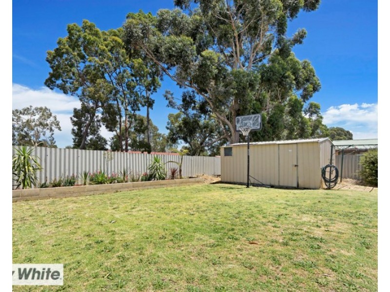 56 Ipswich Crescent, Girrawheen WA 6064