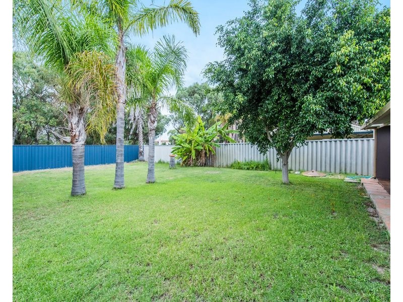 17 Timberlane Loop, Cooloongup WA 6168