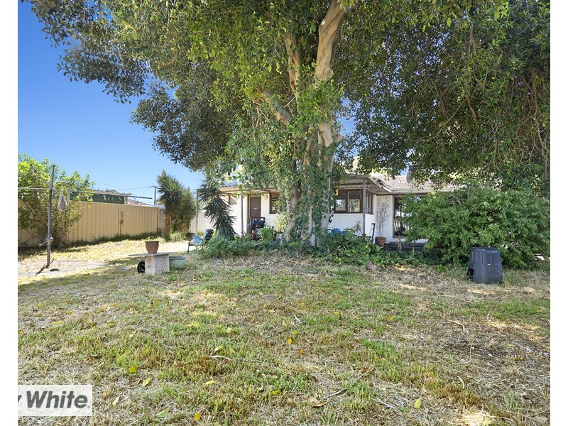 19 Winterton Way, Girrawheen WA 6064