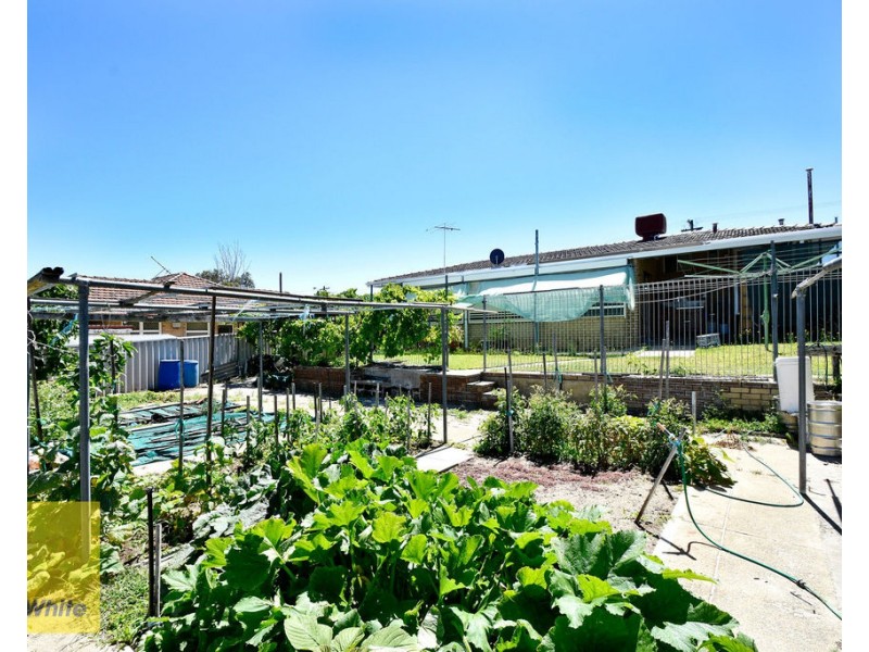 3 Wolya Way, Westminster WA 6061