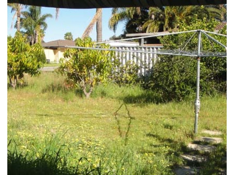 1 Chestnut Grove, Mirrabooka WA 6061