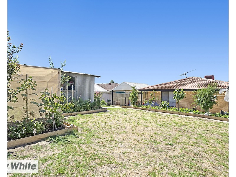 5 Staunton Grove, Mirrabooka WA 6061