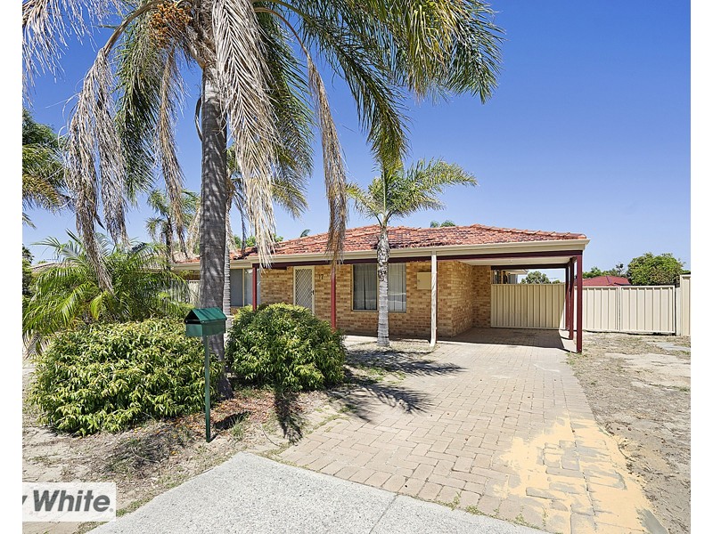 17 Salmongum Grove, Beechboro WA 6063