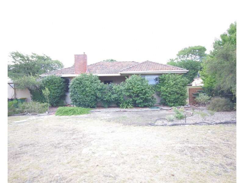 14 Adelphi Street, Bayswater WA 6053