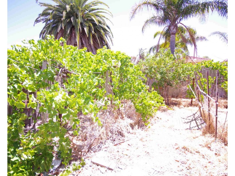 39 Wesley Street, Balcatta WA 6021