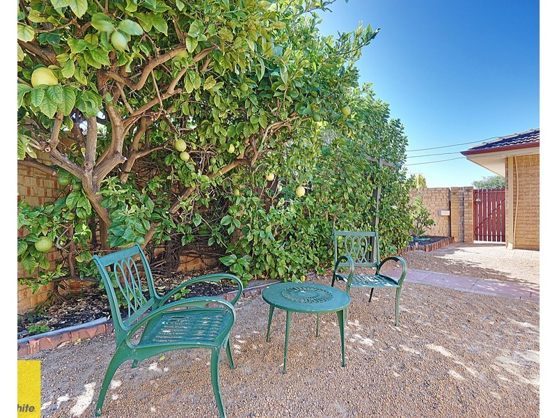 32 Towerhill Road, Alexander Heights WA 6064