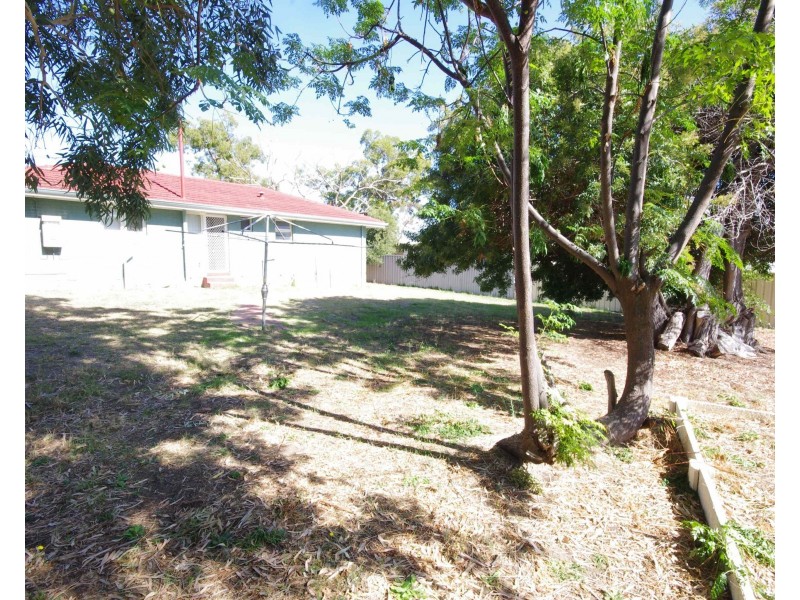 59 Dallington Crescent, Balga WA 6061