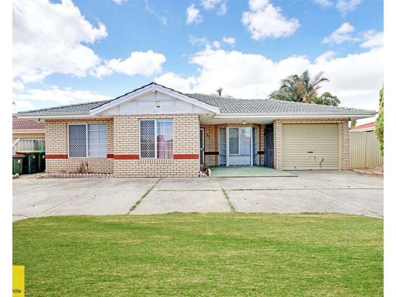 81 Appleblossom Drive, Mirrabooka WA 6061