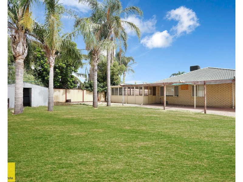 81 Appleblossom Drive, Mirrabooka WA 6061